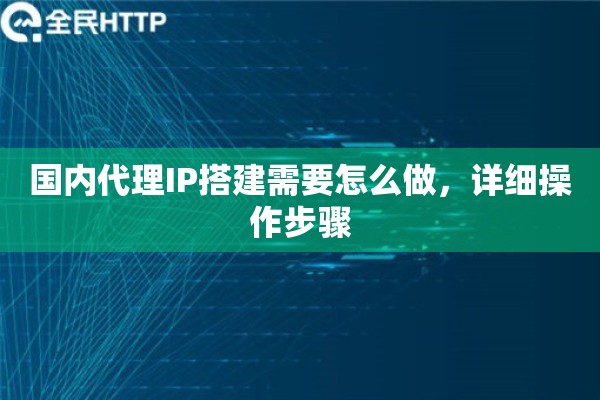 国内代理IP搭建需要怎么做，详细操作步骤