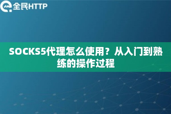 SOCKS5代理怎么使用？从入门到熟练的操作过程