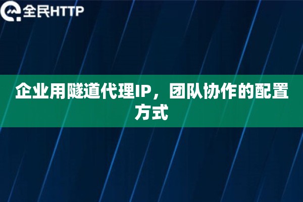 企业用隧道代理IP，团队协作的配置方式