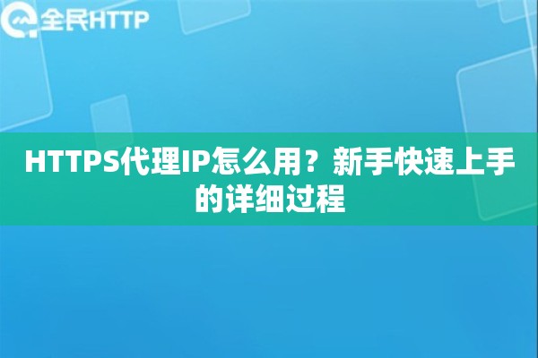 HTTPS代理IP怎么用？新手快速上手的详细过程