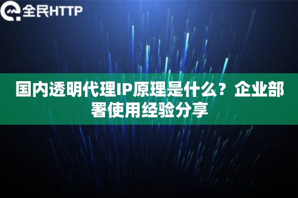 国内透明代理IP原理是什么？企业部署使用经验分享