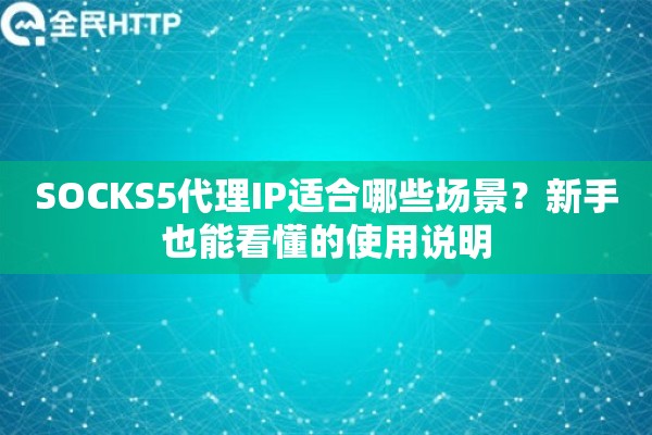 SOCKS5代理IP适合哪些场景？新手也能看懂的使用说明