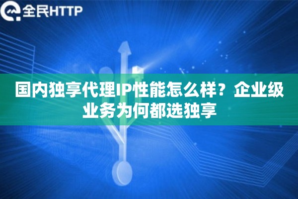 国内独享代理IP性能怎么样？企业级业务为何都选独享
