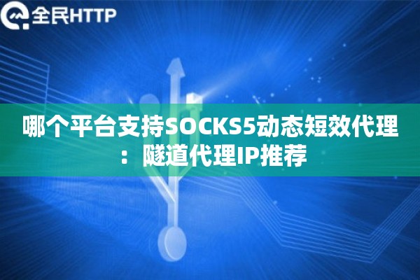 哪个平台支持SOCKS5动态短效代理：隧道代理IP推荐