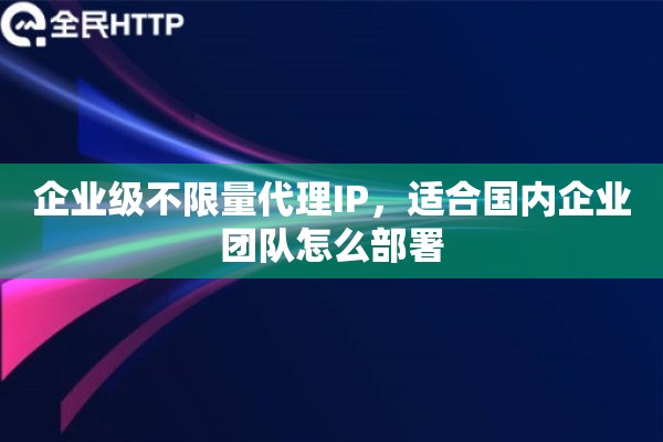 企业级不限量代理IP，适合国内企业团队怎么部署