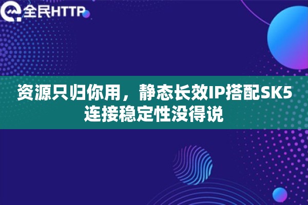 资源只归你用，静态长效IP搭配SK5连接稳定性没得说