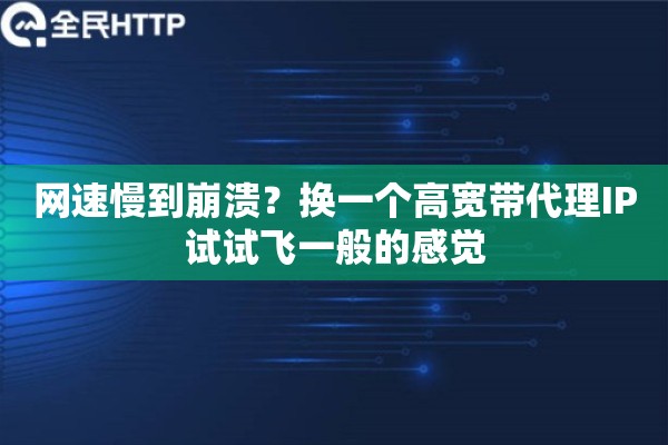 网速慢到崩溃？换一个高宽带代理IP试试飞一般的感觉