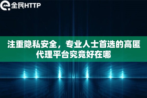 注重隐私安全，专业人士首选的高匿代理平台究竟好在哪