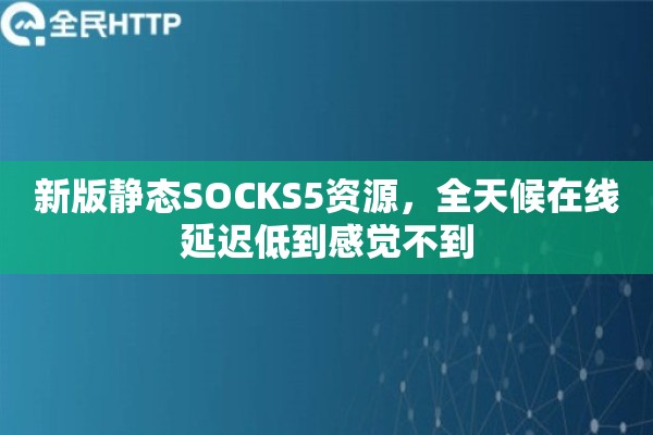 新版静态SOCKS5资源，全天候在线延迟低到感觉不到