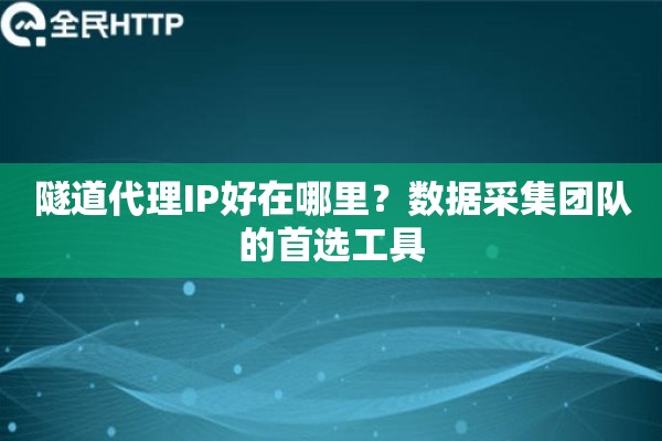 隧道代理IP好在哪里？数据采集团队的首选工具