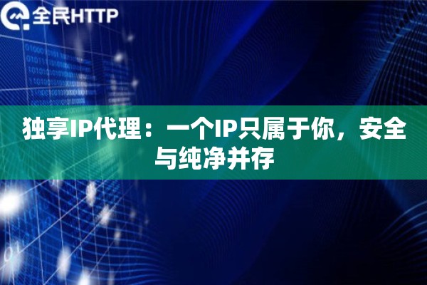 独享IP代理：一个IP只属于你，安全与纯净并存