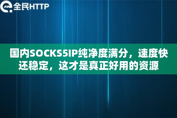 国内SOCKS5IP纯净度满分，速度快还稳定，这才是真正好用的资源