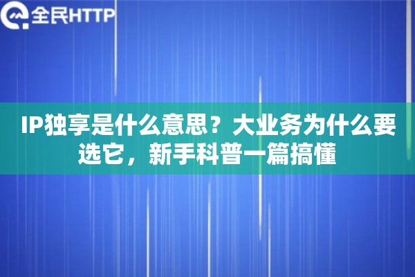IP独享是什么意思？大业务为什么要选它，新手科普一篇搞懂