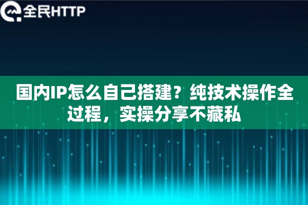 国内IP怎么自己搭建？纯技术操作全过程，实操分享不藏私