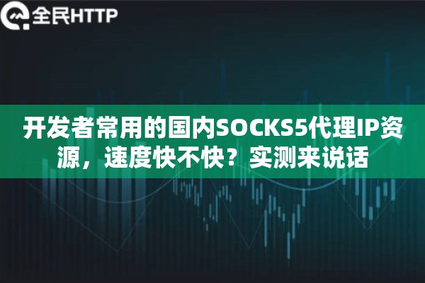开发者常用的国内SOCKS5代理IP资源，速度快不快？实测来说话