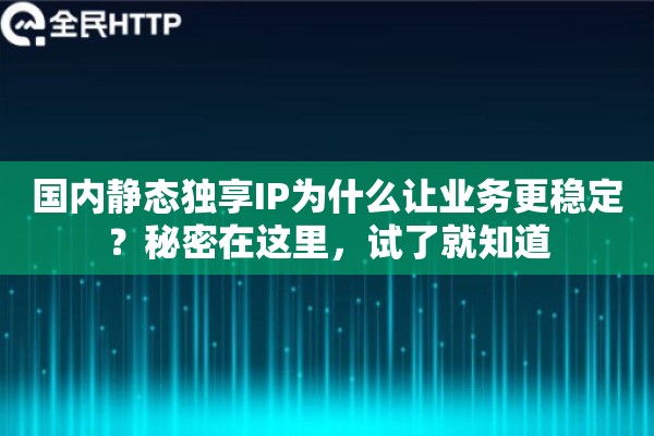 国内静态独享IP为什么让业务更稳定？秘密在这里，试了就知道