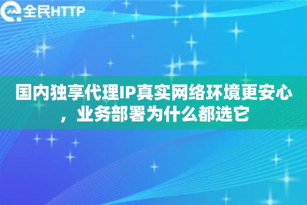 国内独享代理IP真实网络环境更安心，业务部署为什么都选它