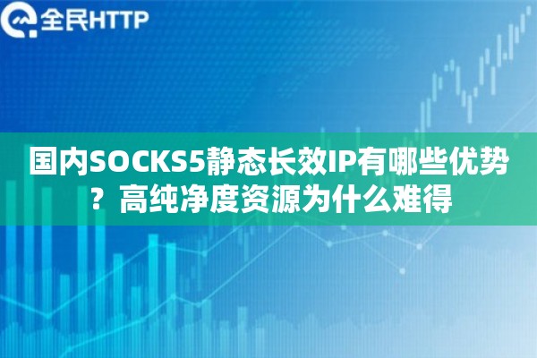 国内SOCKS5静态长效IP有哪些优势？高纯净度资源为什么难得