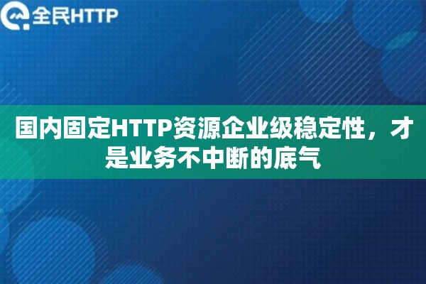 国内固定HTTP资源企业级稳定性，才是业务不中断的底气