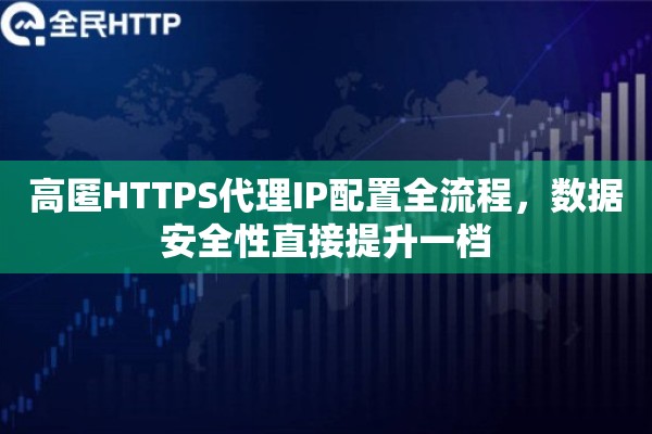 高匿HTTPS代理IP配置全流程，数据安全性直接提升一档