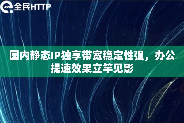 国内静态IP独享带宽稳定性强，办公提速效果立竿见影