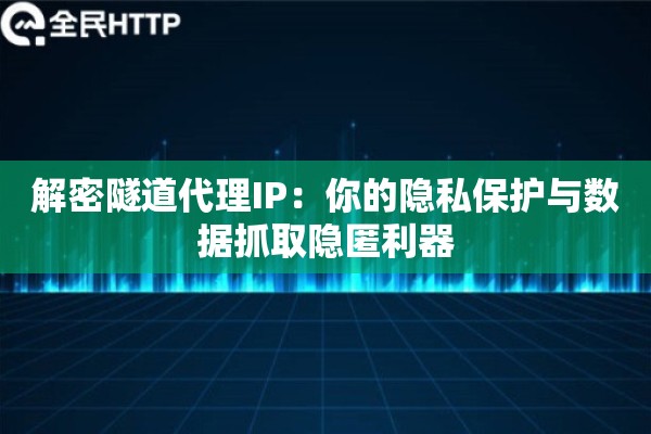 解密隧道代理IP：你的隐私保护与数据抓取隐匿利器