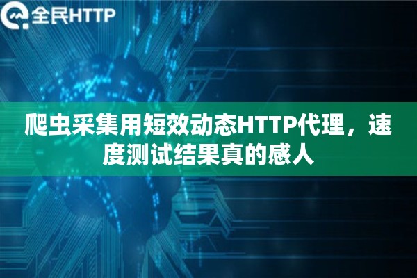 爬虫采集用短效动态HTTP代理，速度测试结果真的感人