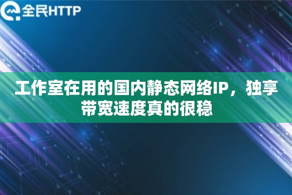 工作室在用的国内静态网络IP，独享带宽速度真的很稳