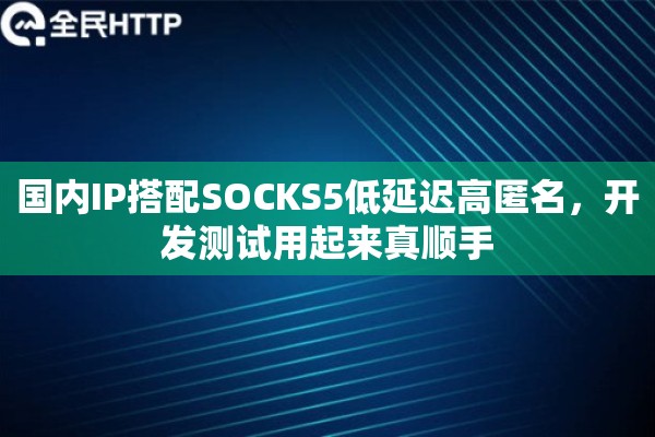 国内IP搭配SOCKS5低延迟高匿名，开发测试用起来真顺手