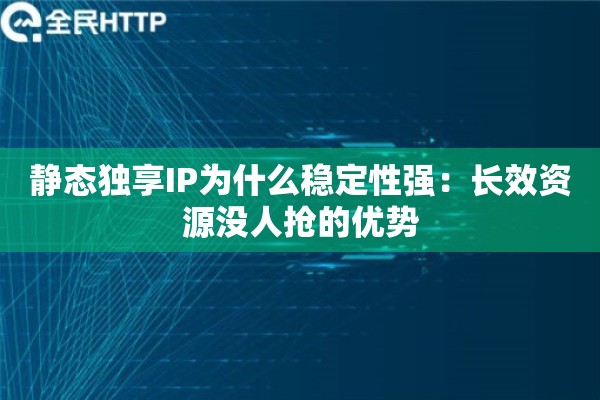 静态独享IP为什么稳定性强：长效资源没人抢的优势