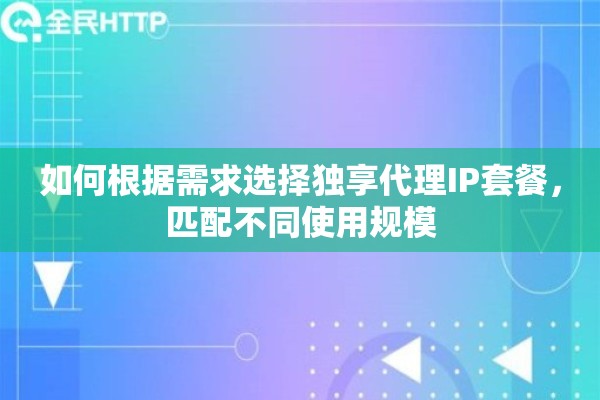 如何根据需求选择独享代理IP套餐，匹配不同使用规模