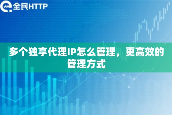 多个独享代理IP怎么管理,更高效的管理方式 多个独享代理IP怎么管理,更高效的管理方式