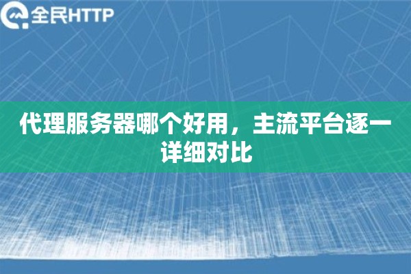 代理服务器哪个好用，主流平台逐一详细对比