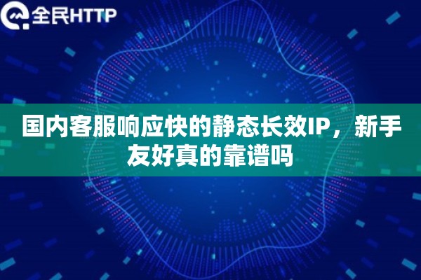 国内客服响应快的静态长效IP，新手友好真的靠谱吗