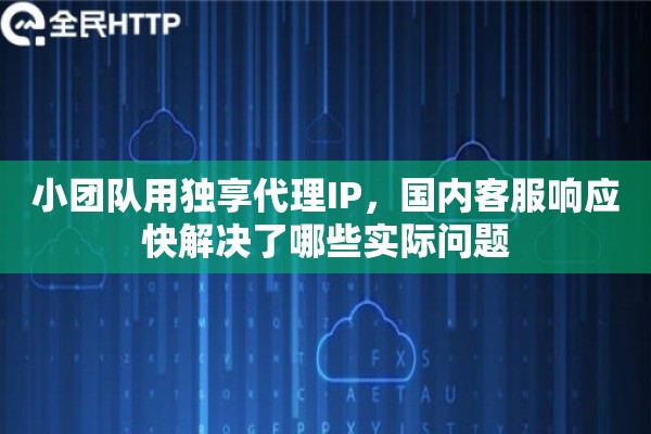 小团队用独享代理IP，国内客服响应快解决了哪些实际问题