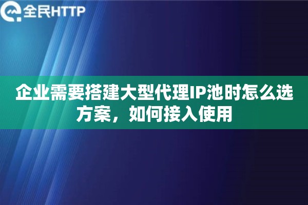 企业需要搭建大型代理IP池时怎么选方案，如何接入使用