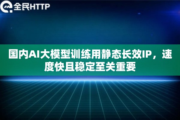 国内AI大模型训练用静态长效IP，速度快且稳定至关重要