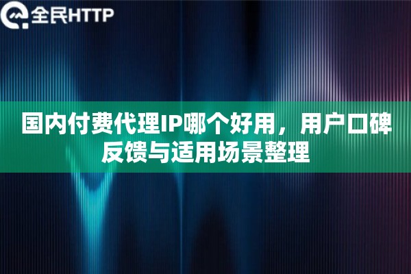 国内付费代理IP哪个好用，用户口碑反馈与适用场景整理