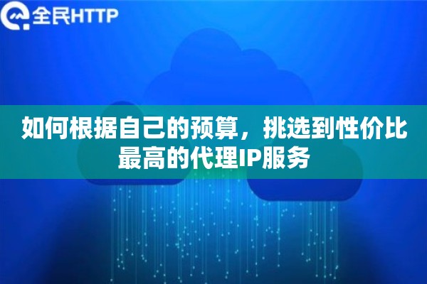 如何根据自己的预算，挑选到性价比最高的代理IP服务