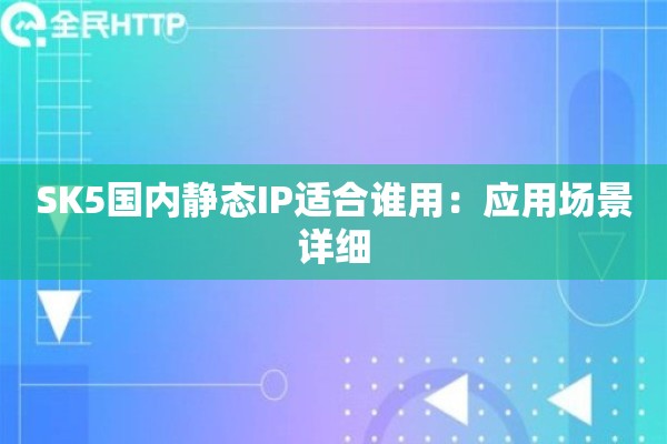 SK5国内静态IP适合谁用：应用场景详细