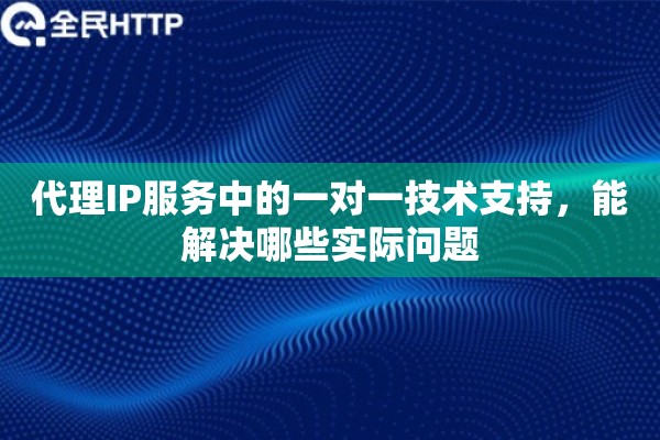 代理IP服务中的一对一技术支持，能解决哪些实际问题