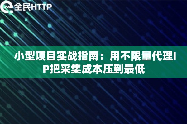 小型项目实战指南：用不限量代理IP把采集成本压到最低