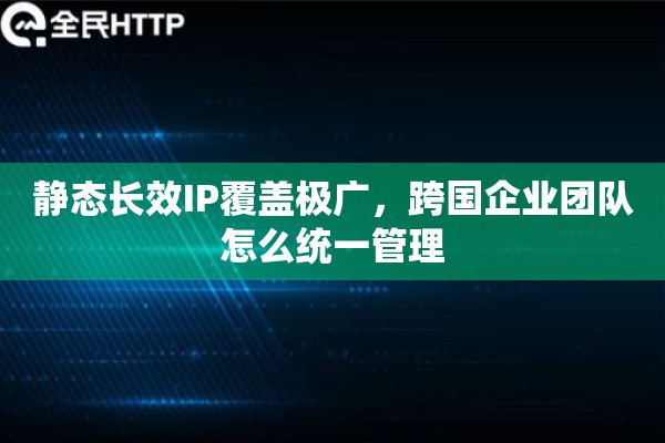 静态长效IP覆盖极广，跨国企业团队怎么统一管理