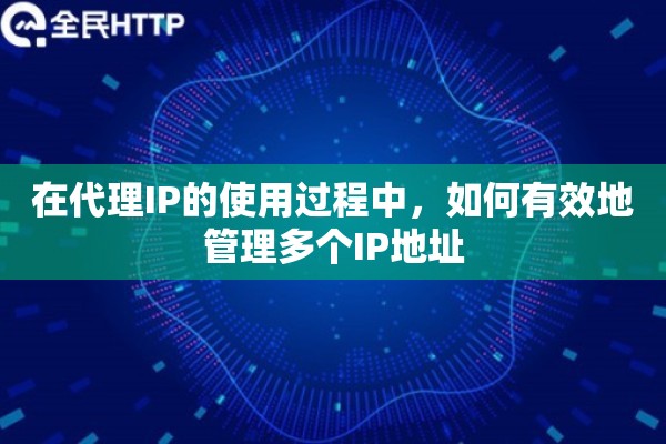 在代理IP的使用过程中，如何有效地管理多个IP地址