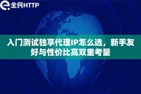 入门测试独享代理IP怎么选，新手友好与性价比高双重考量