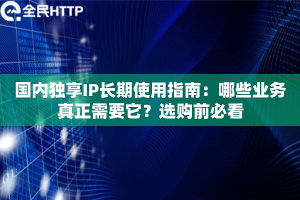 国内独享IP长期使用指南：哪些业务真正需要它？选购前必看