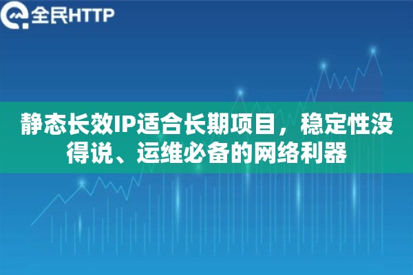静态长效IP适合长期项目，稳定性没得说、运维必备的网络利器