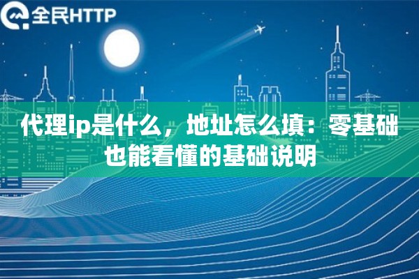 代理ip是什么，地址怎么填：零基础也能看懂的基础说明