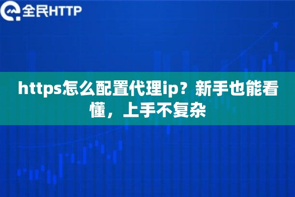 https怎么配置代理ip？新手也能看懂，上手不复杂