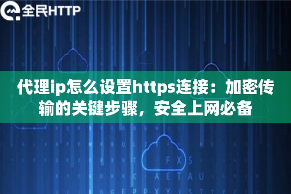 代理ip怎么设置https连接：加密传输的关键步骤，安全上网必备